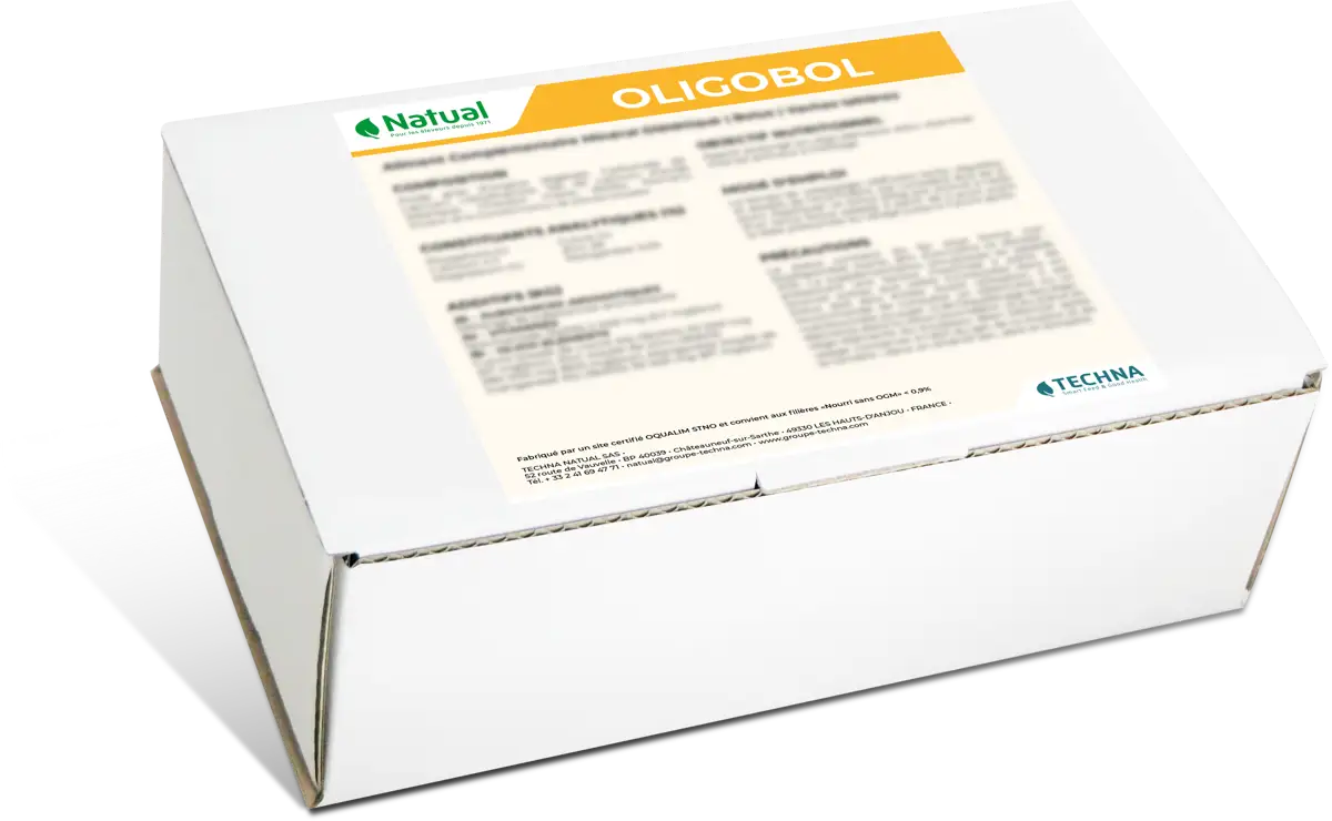 Conditionnement de l'Oligobol par 16