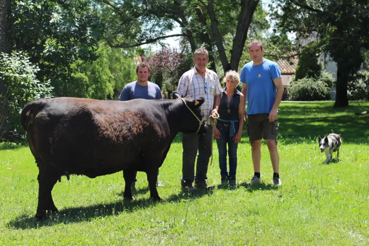 Vincent, technicien de transplantation embryonnaire (en bleu) et les membres du GAEC présentant une vache Angus