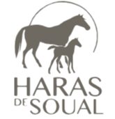 Haras de Soual