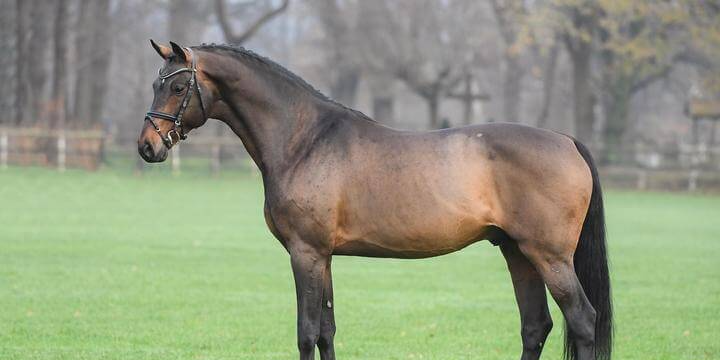 Son père, le très recherché CONTHARGOS