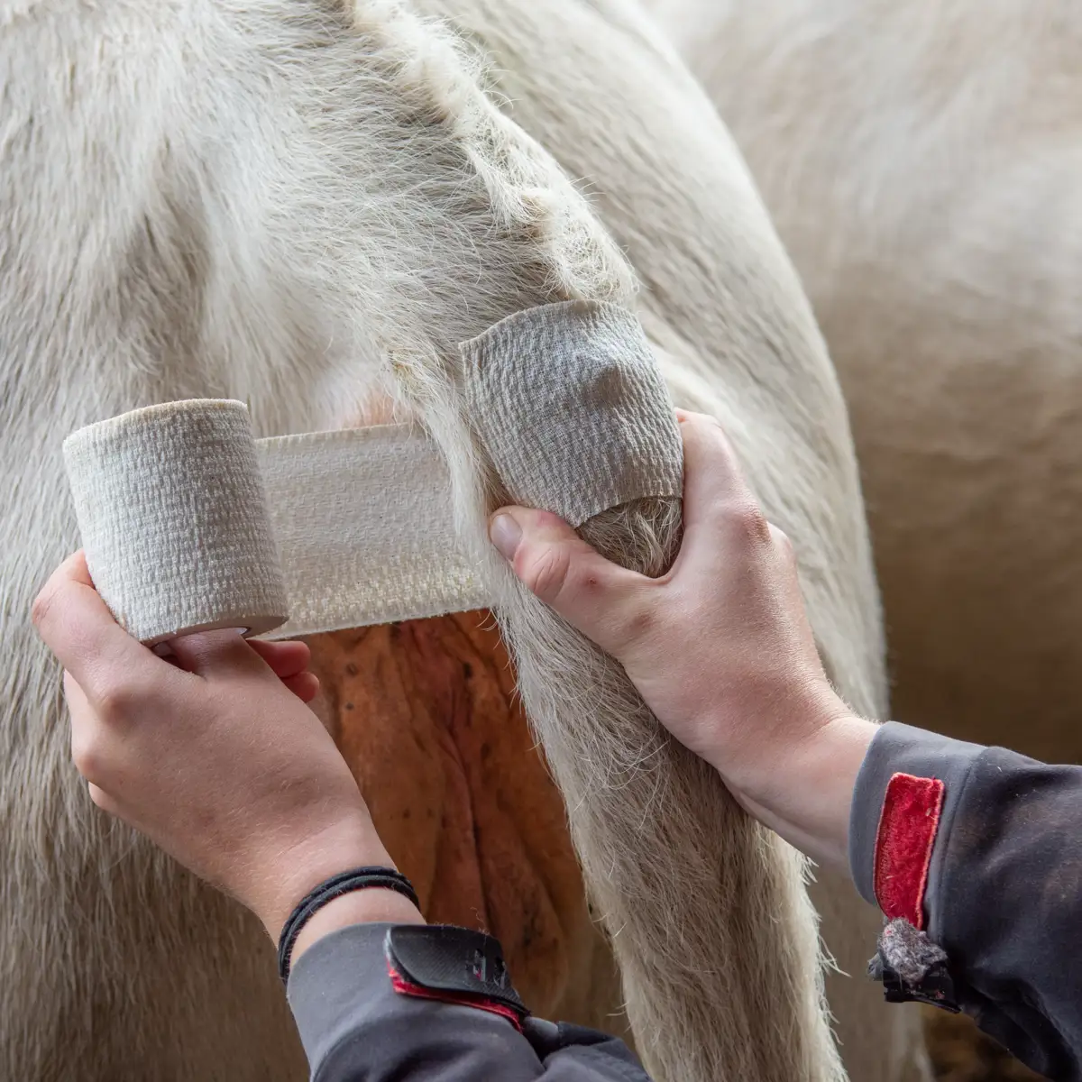 Pose d'un capteur sur la base de la queue