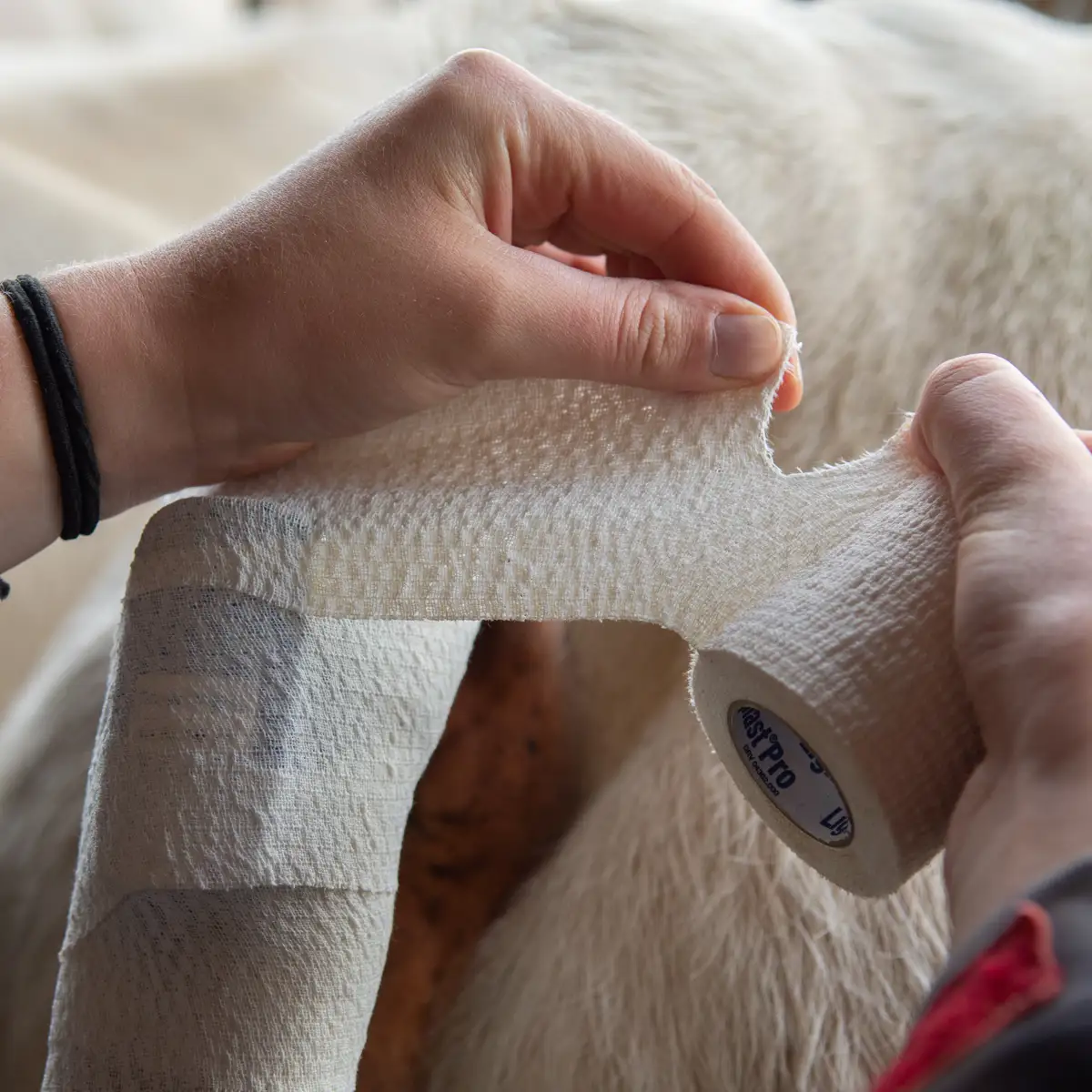 Bande adhésive spécial SmartVel