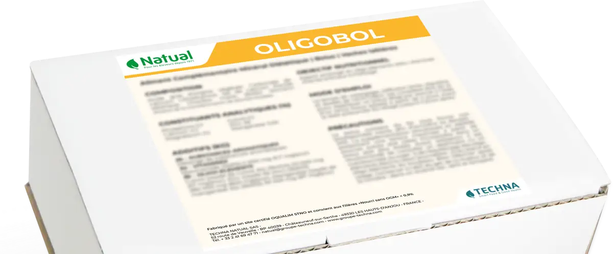 Conditionnement de l'Oligobol par 16 bolus