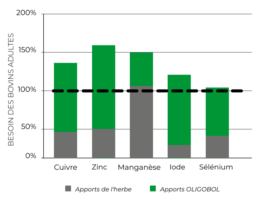 Apports oligo-éléments OLIGOBOL par rapport aux besoins des bovins adultes au pâturage