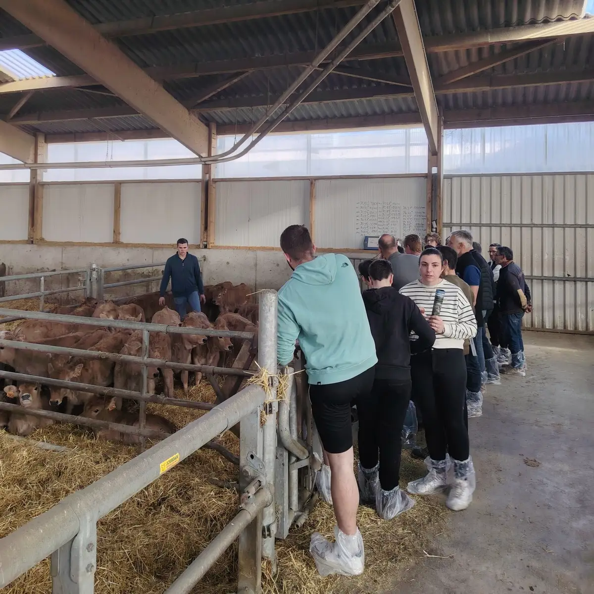 Présentation des veaux de l'année 