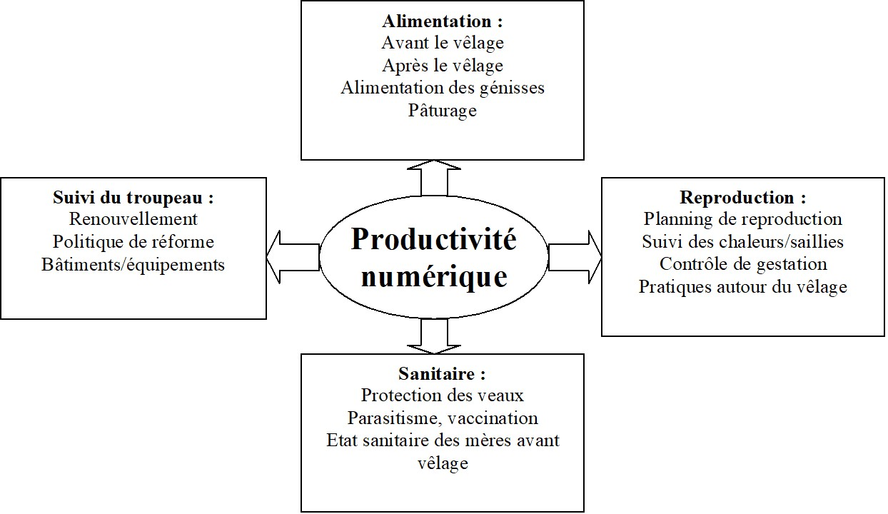 Les points à contrôler pour maîtriser la productivité numérique