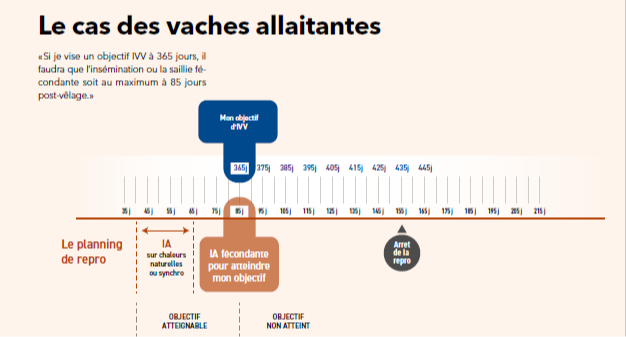 Pour atteindre son objectif IVV, il n'y a pas de temps à perdre !