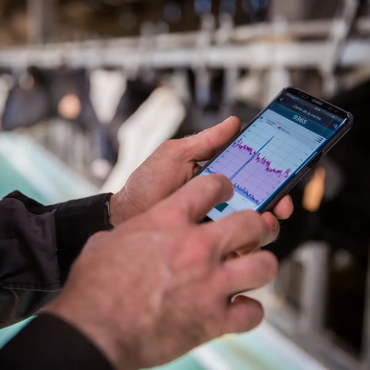 Application smartphone