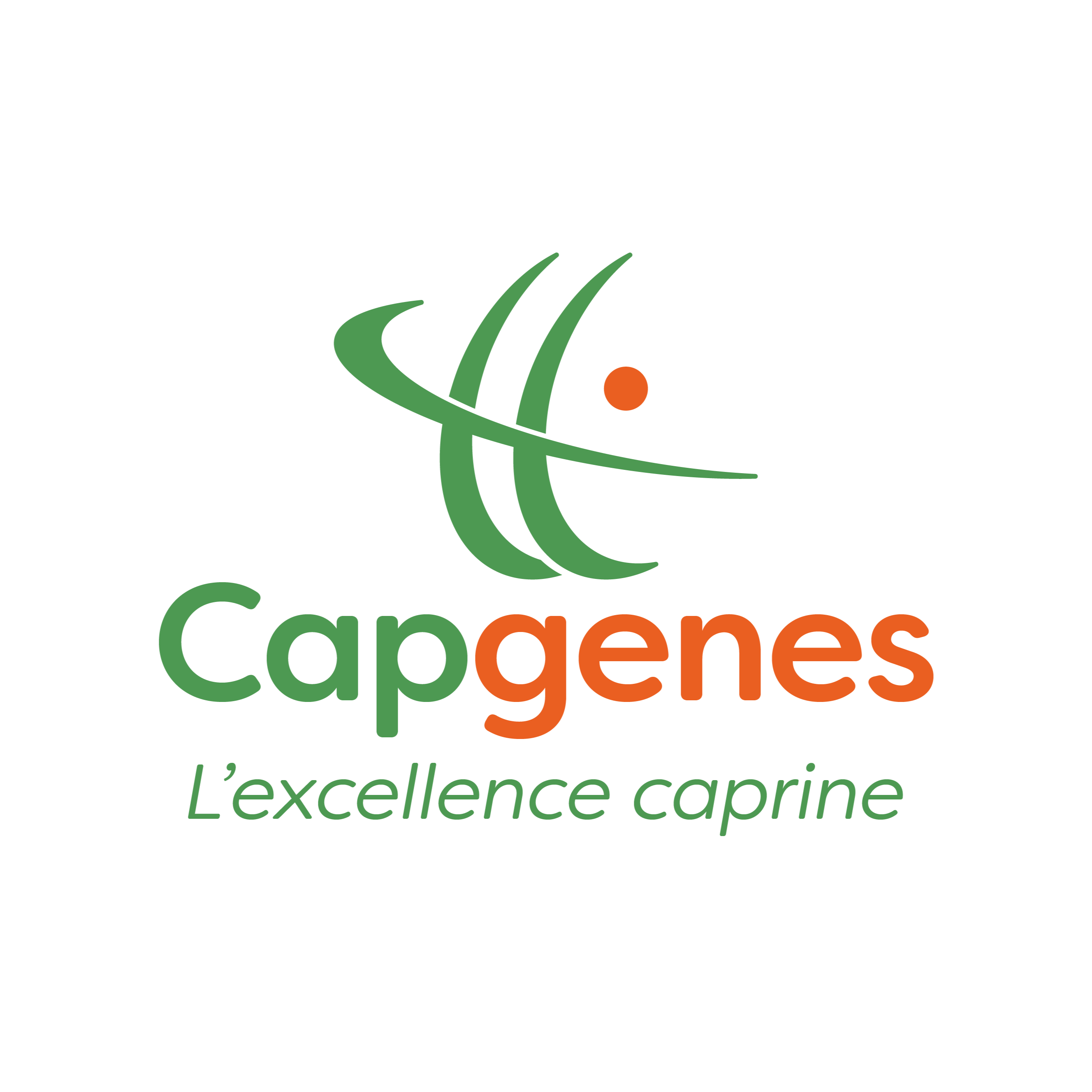 Le génotypage en ferme s'inscrit dans le dispositif génétique Gènes Avenir porté par CAPGENES.