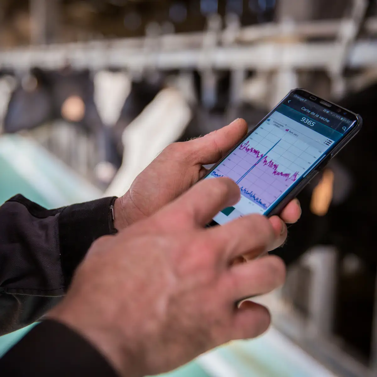 Application smartphone