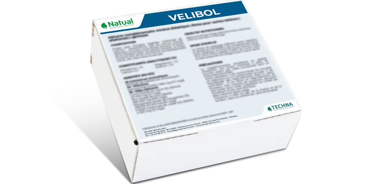 Velibol par 16
